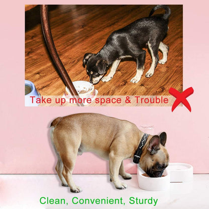 Pet Bowl Puppy Home Automatic Water Dispenser Cats Dogs Easy Clean PP Food Dish